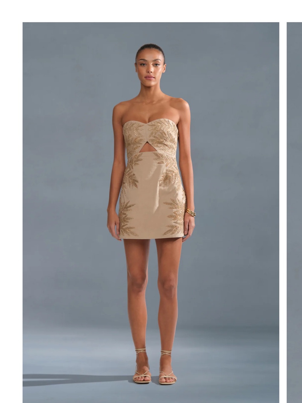 NWT AMUR Strapless Gold-Tone Mini Dress with Embroidered Motif